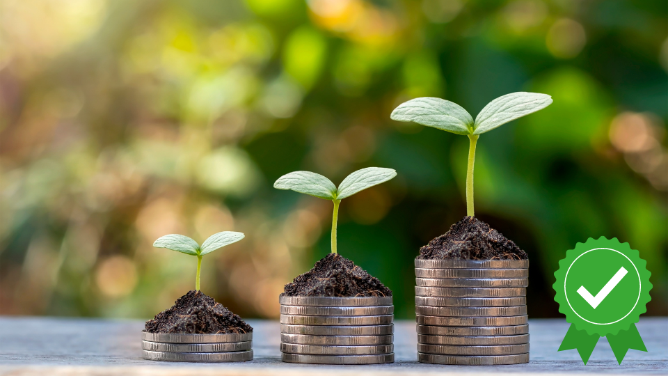 Systèmes financiers et bancaires